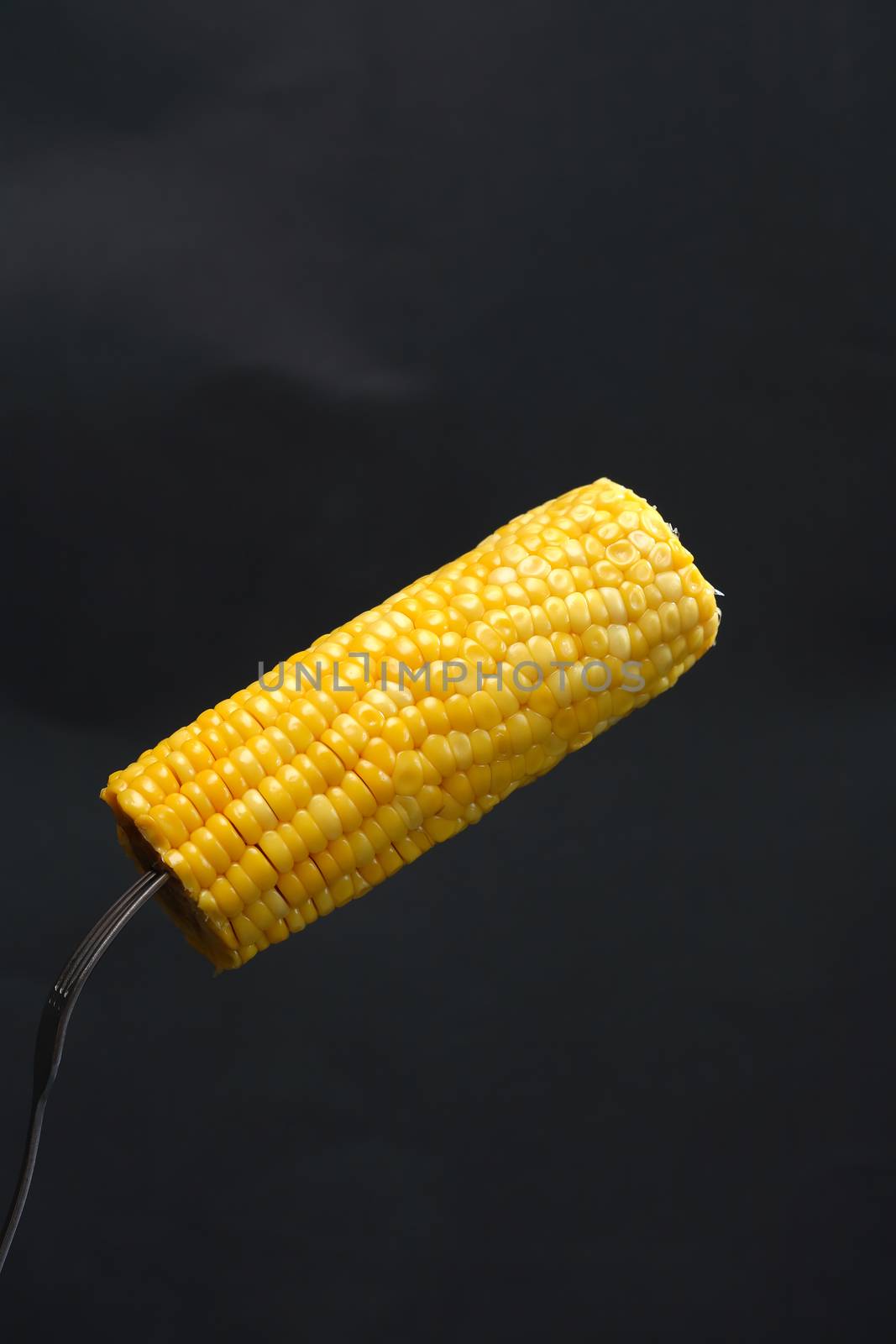 Corn cob pierced on fork against dark background. Closeup