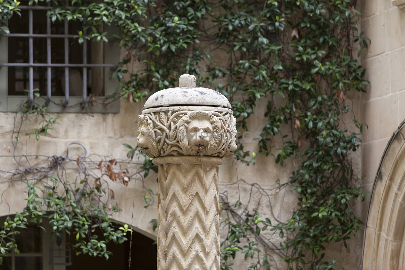 fountain with stone lions in old City Mdina, Malta, Europe by mychadre77