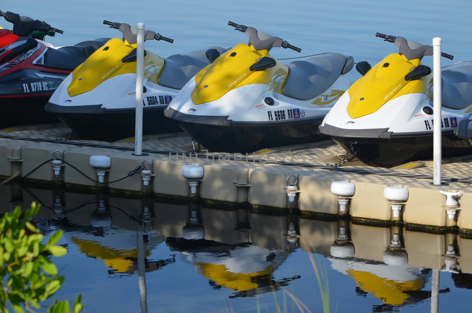 three yellow rental jet skis stored on a floating dock on a lake in southeast florida







Yellow Jet Skis Stored on a Floating Dock