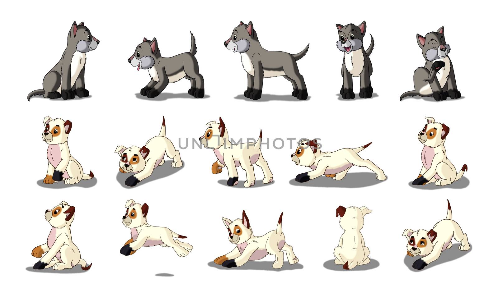 White and Gray Puppies Isolated on White Background. by Multipedia