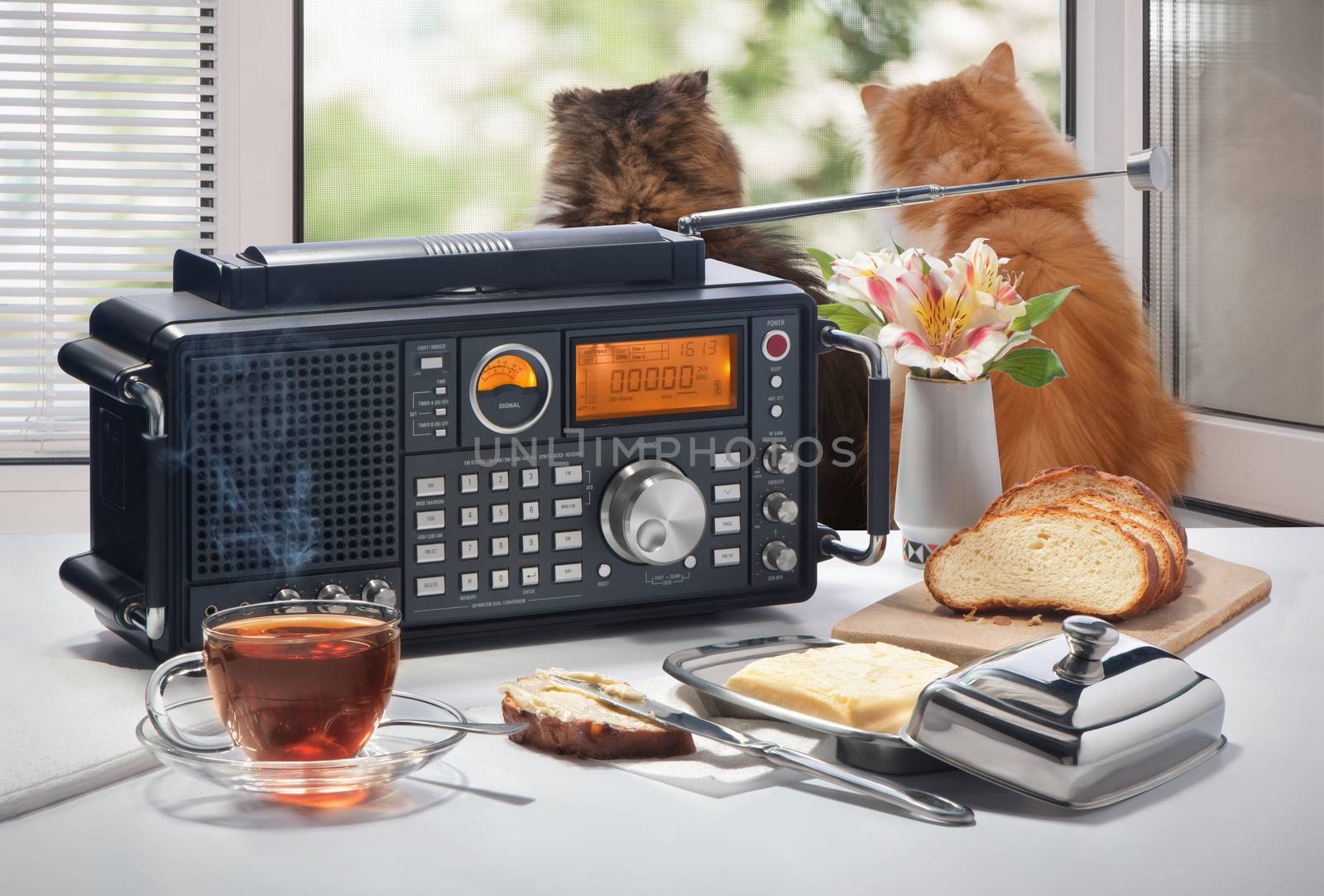 Hot tea, bread and oil on a table with the radio receiver against an open window with cats