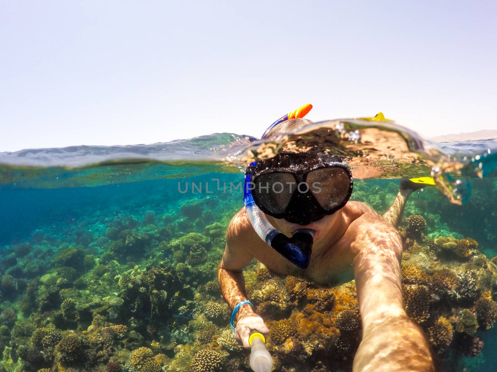Snorkel swims in shallow water, Red Sea, Egypt by artush