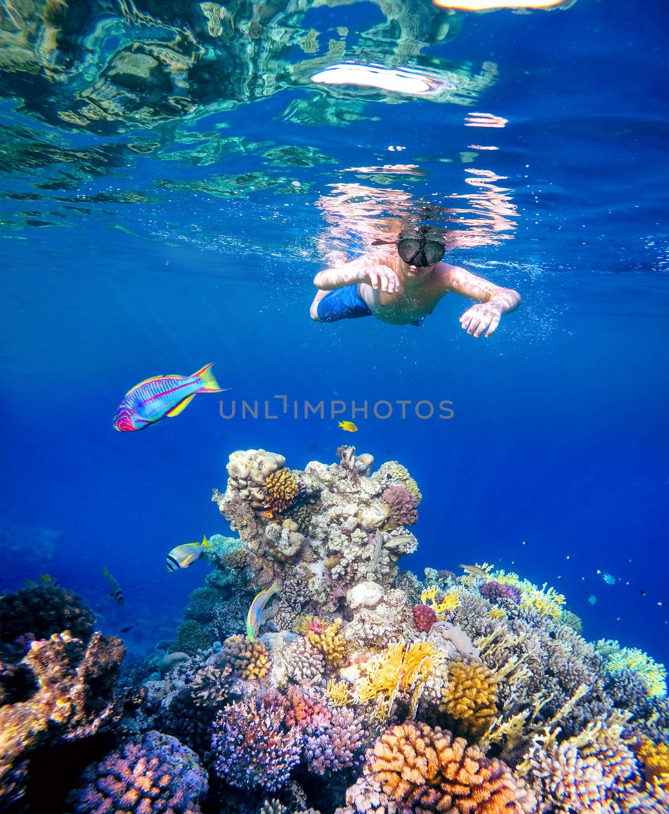 Underwater shoot of a young boy snorkeling in red sea by artush