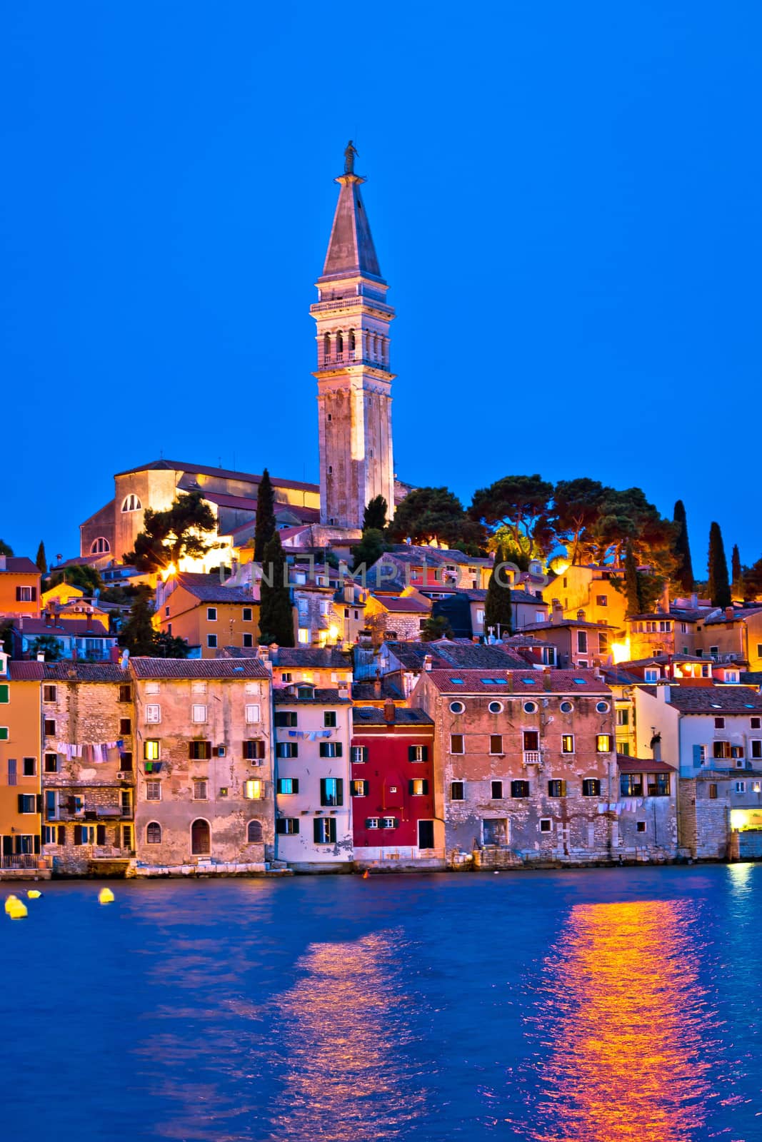 Town of Rovinj evening vertical view, Istria, Croatia