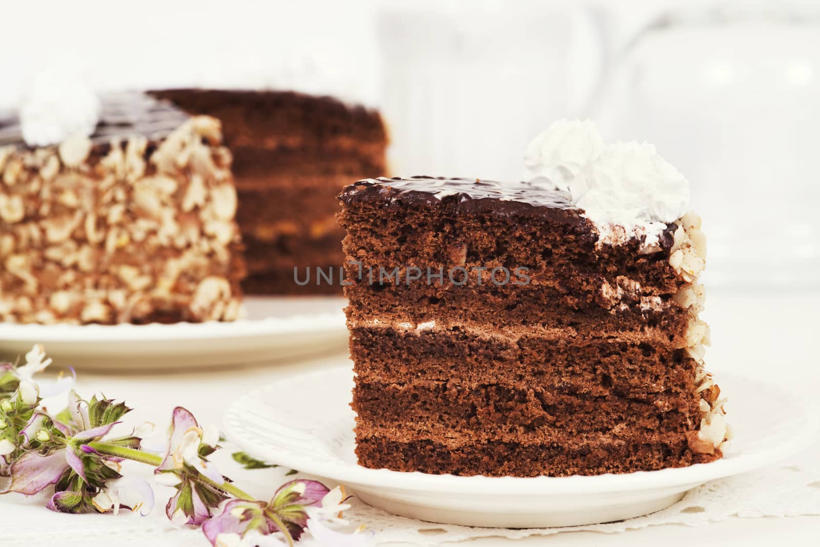 Piece of chocolate cake on the plate on the light background