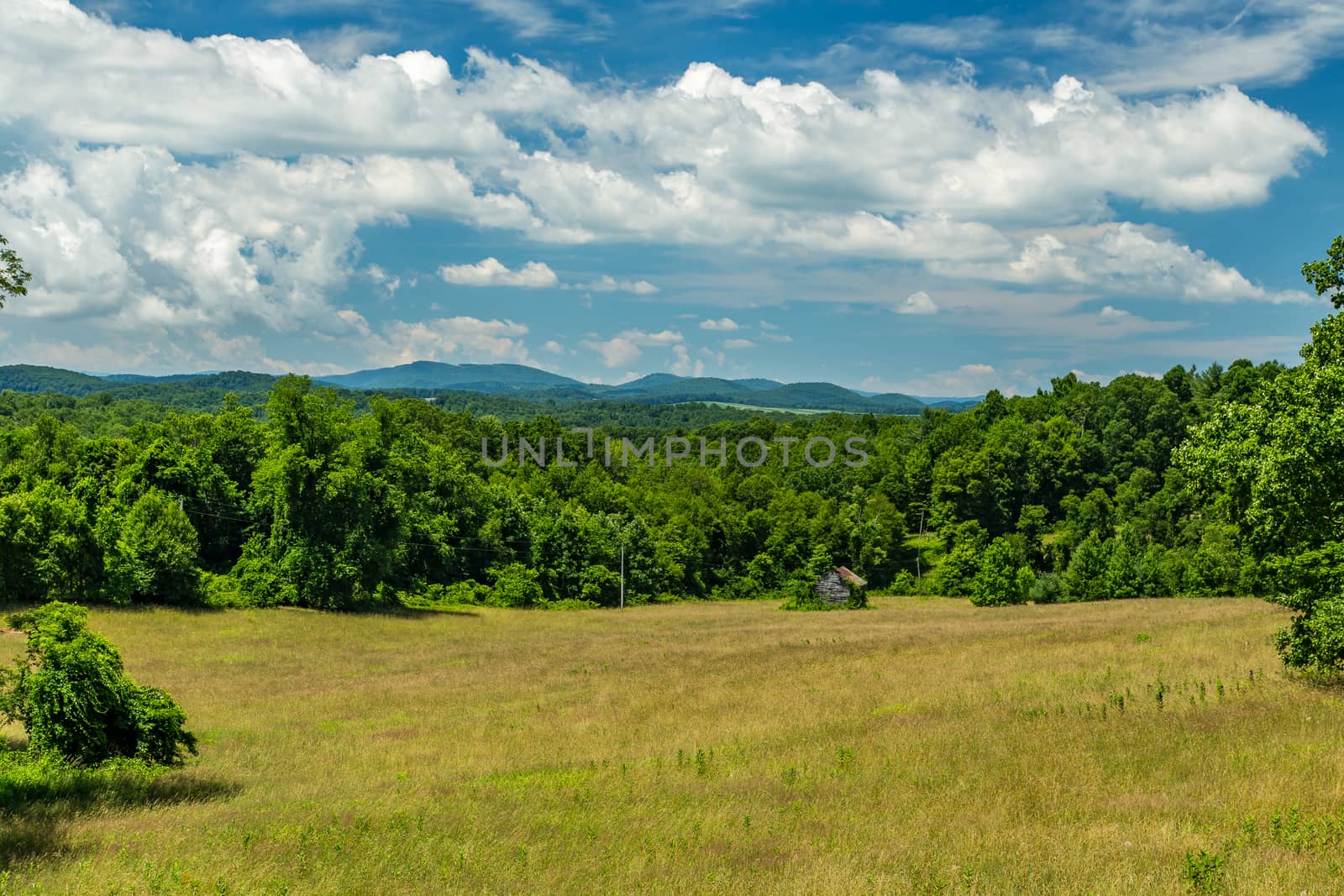 A view of a meadow in the foothills of the Blue Ridge Mountains in Franklin County, Virginia