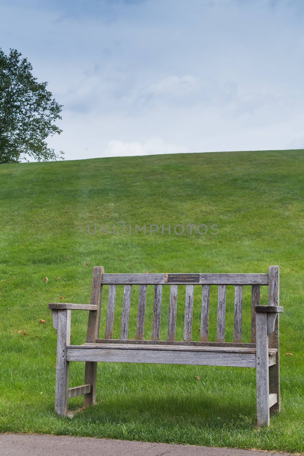 Bench in the nature by YassminPhoto