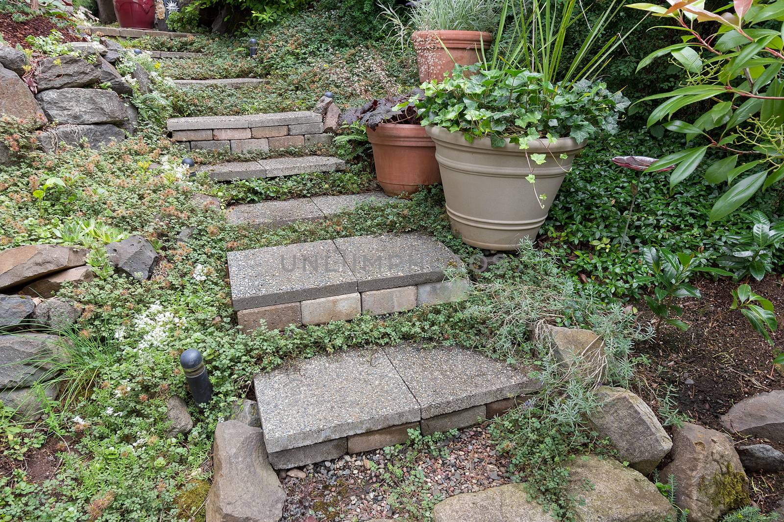 Cement stone steps with groundcover potted plants rocks bricks gravel leading to garden backyard