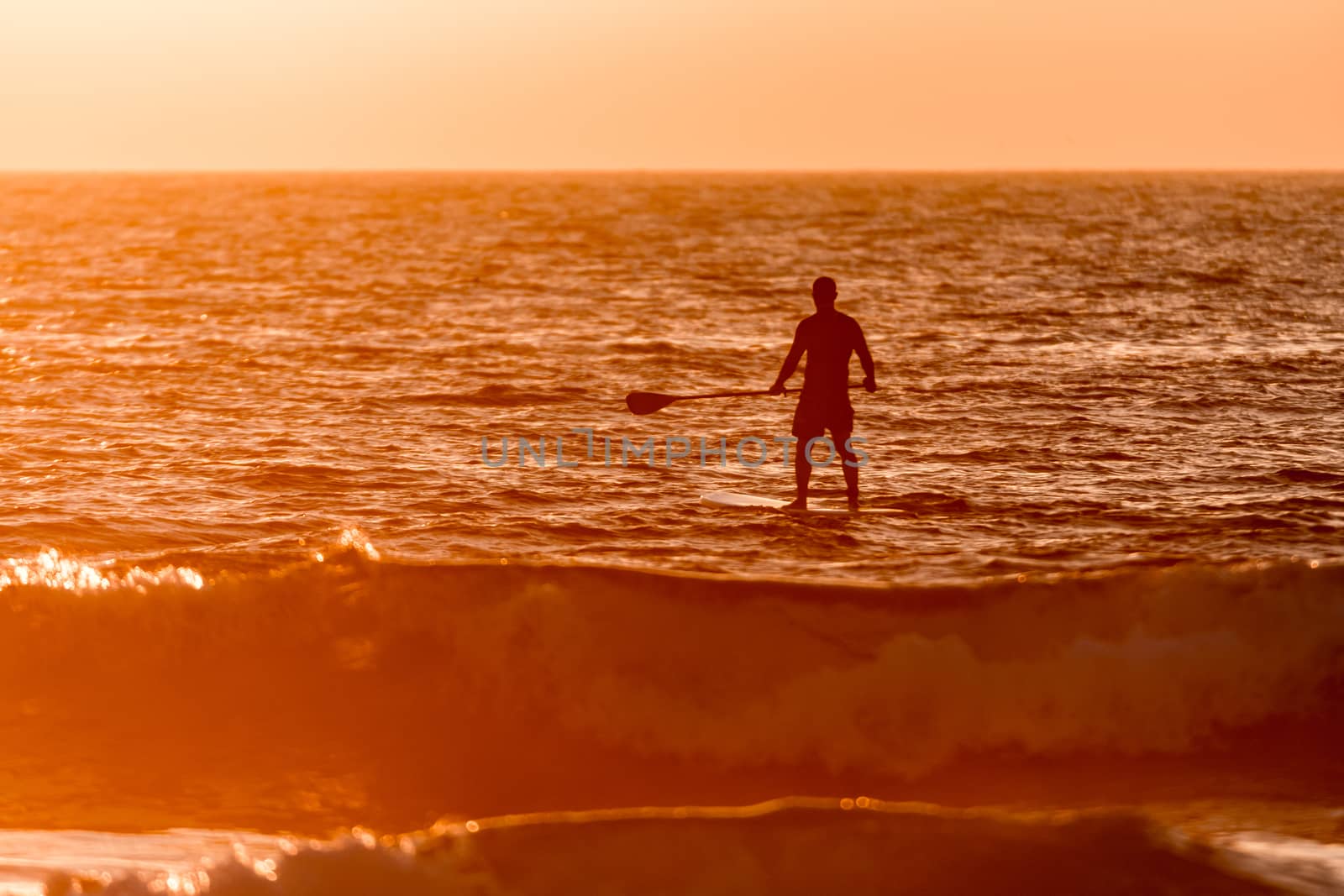 Stand up paddler silhouette at sunset. Concept about sport, surf, vacations and people.