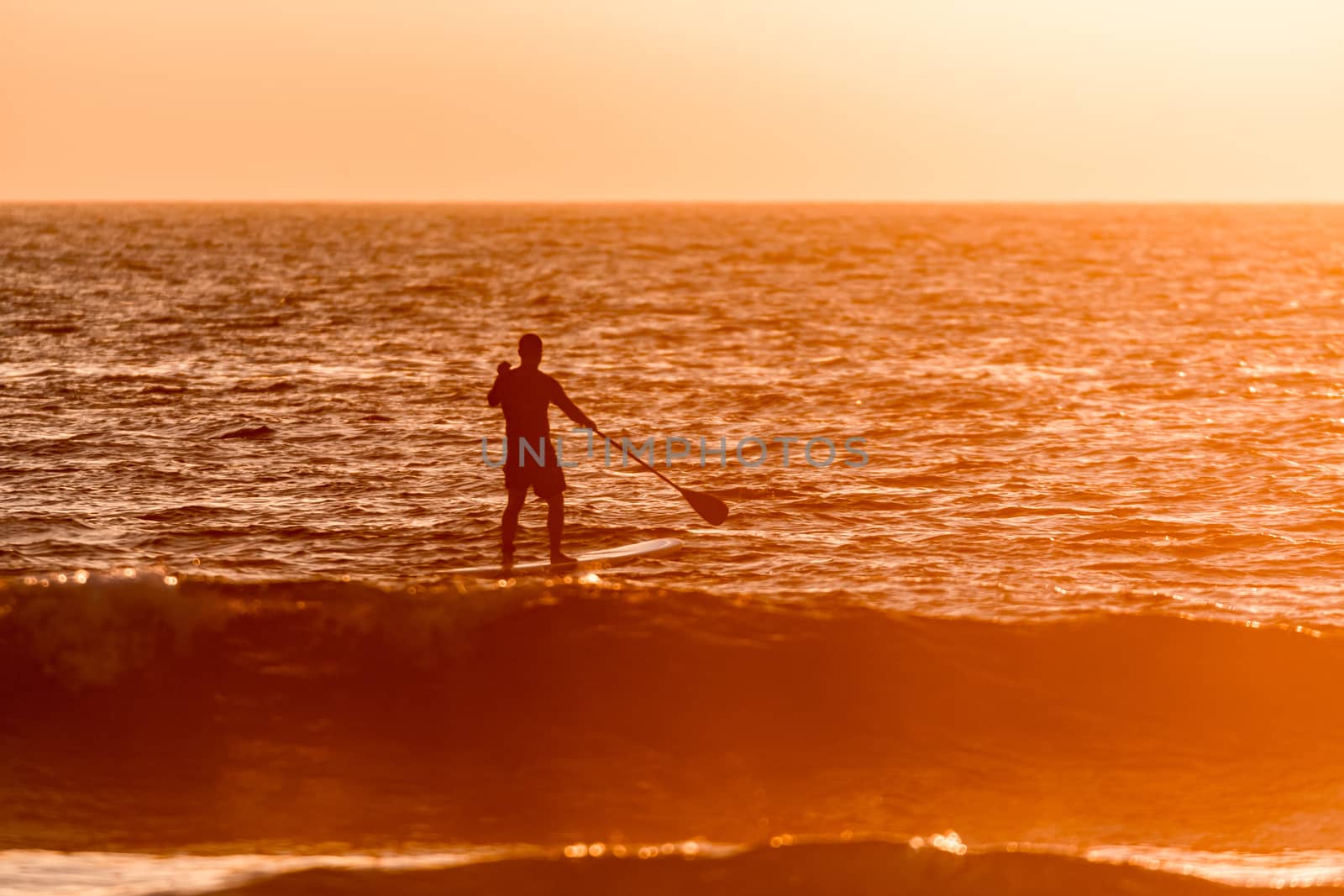 Stand up paddler silhouette at sunset. Concept about sport, surf, vacations and people.