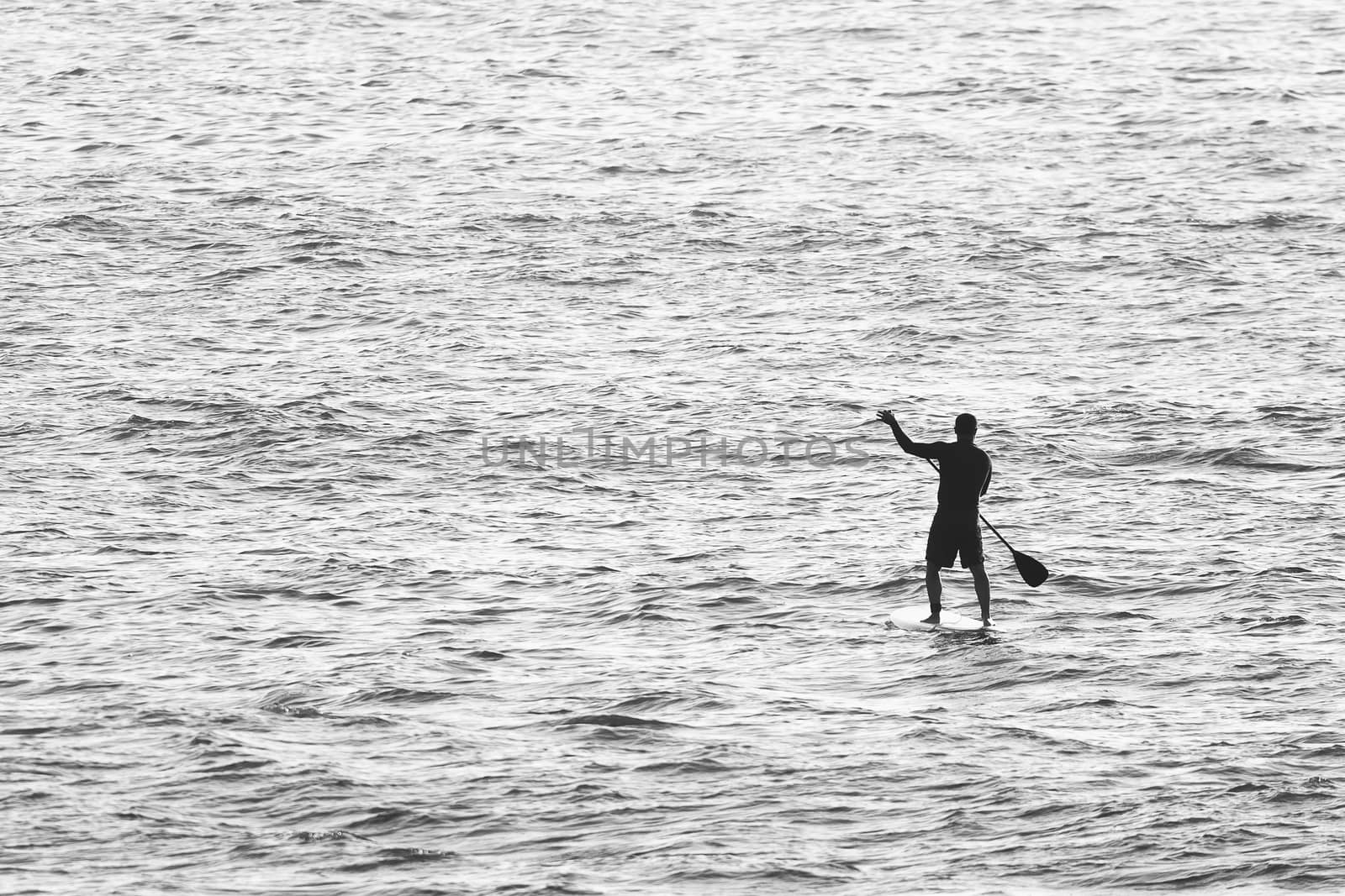 Black and White photo of man on Stand Up Paddle Board surrounded my sea water.
