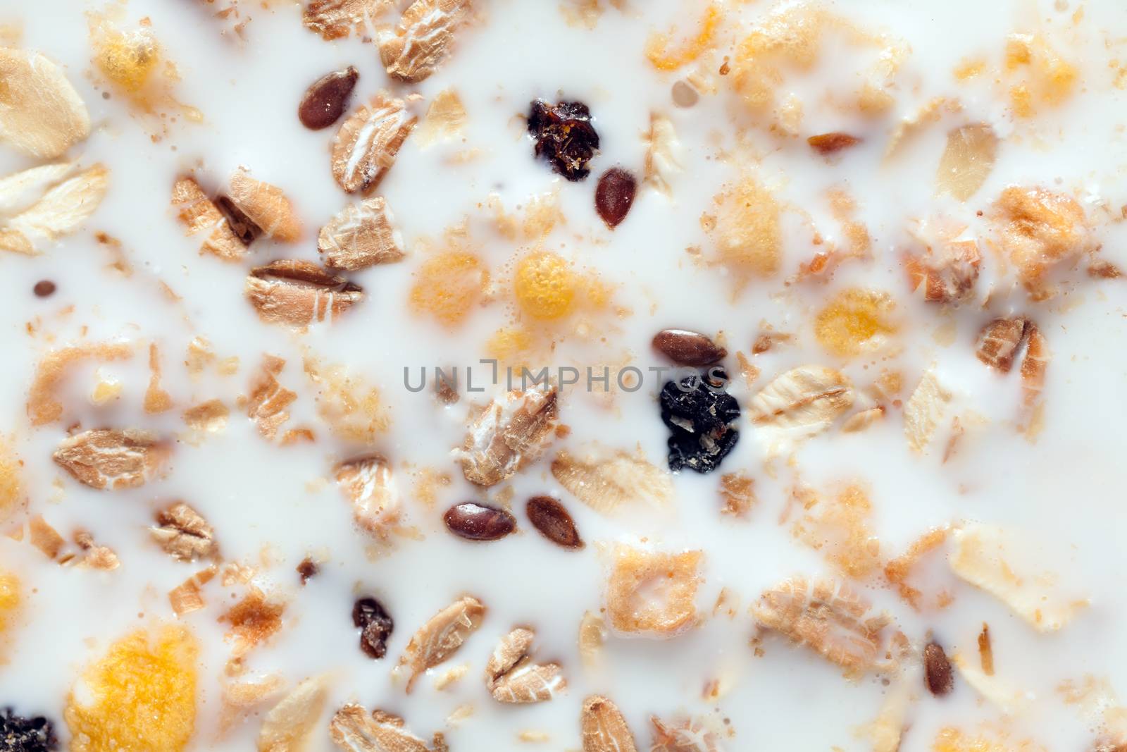 Cereals in a milk. Breakfast concept