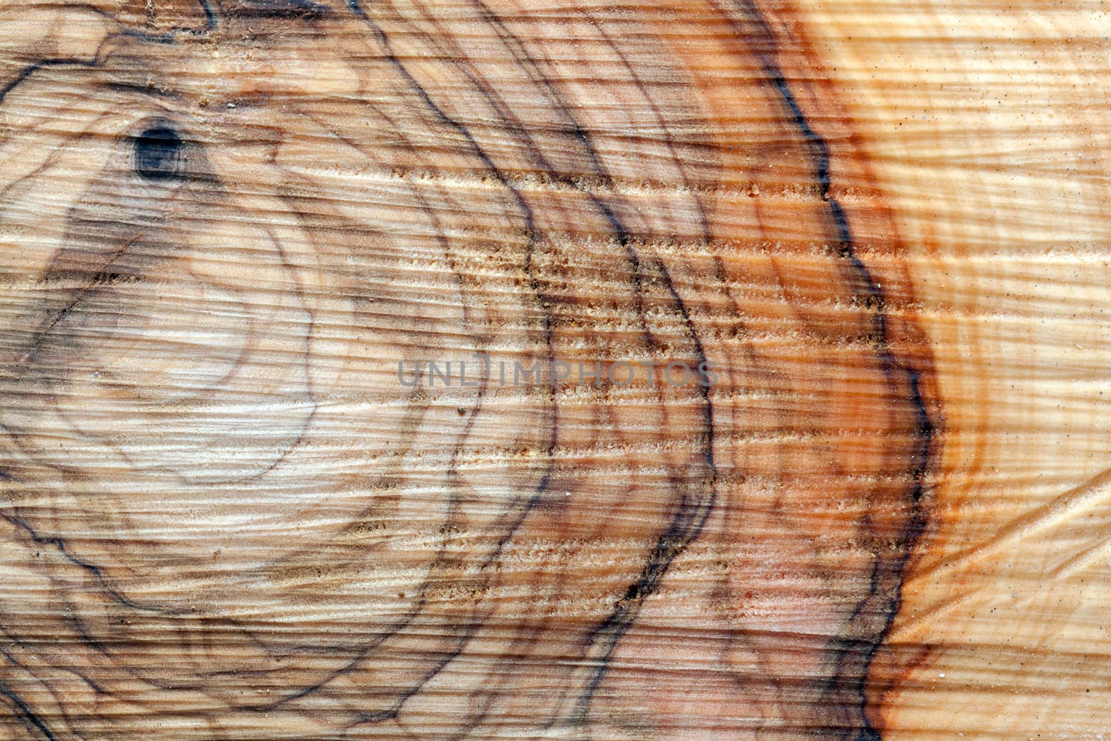 Olive wood brown texture background