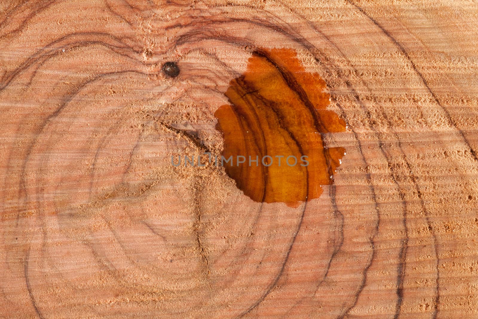 Olive wood surface with oil stain