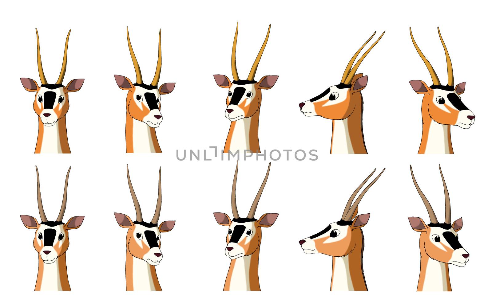 Set of African Antelope Gazelle images. Digital painting  full color cartoon style illustration isolated on white background.