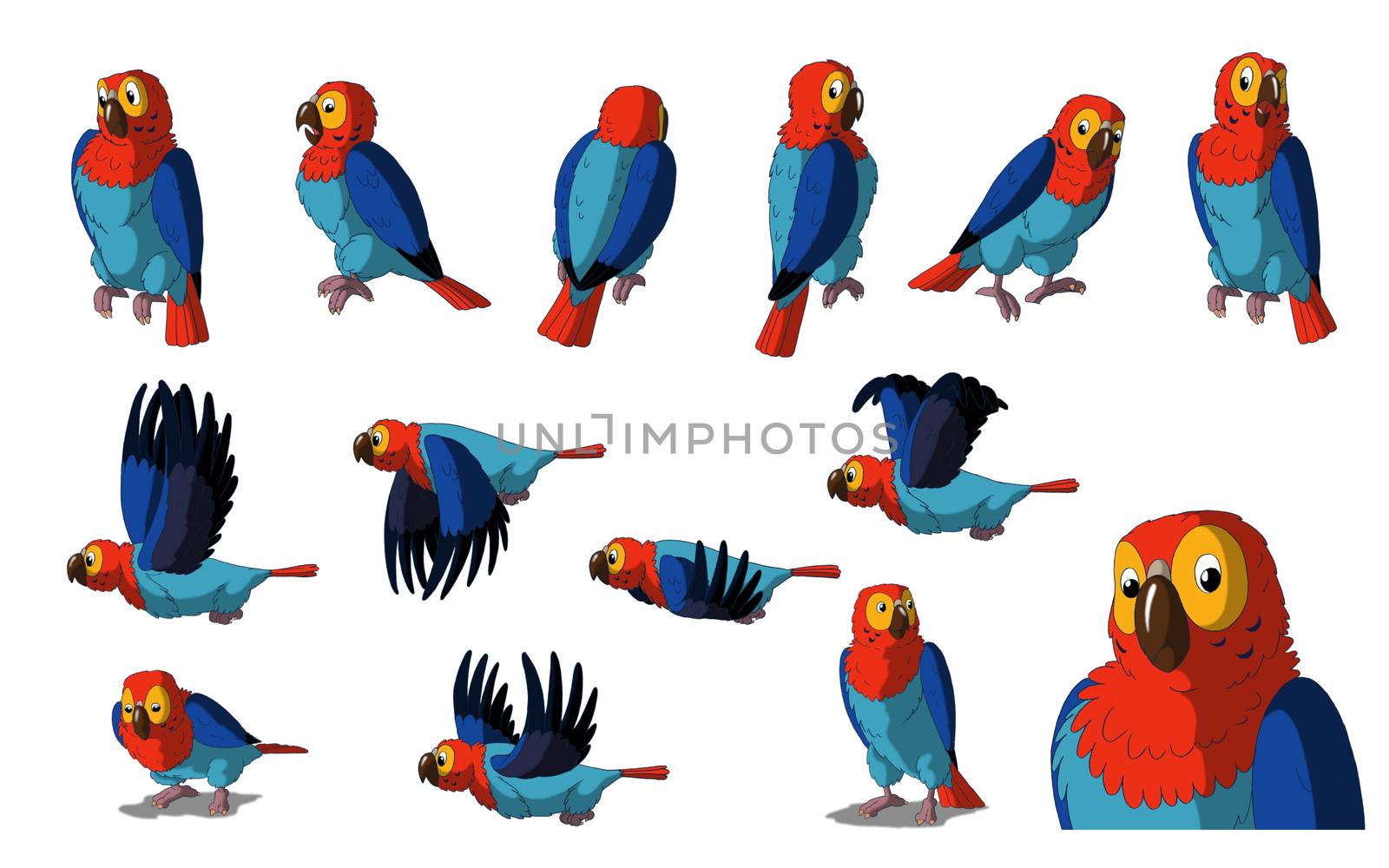 Macaw Parrot Isolated on White Background by Multipedia