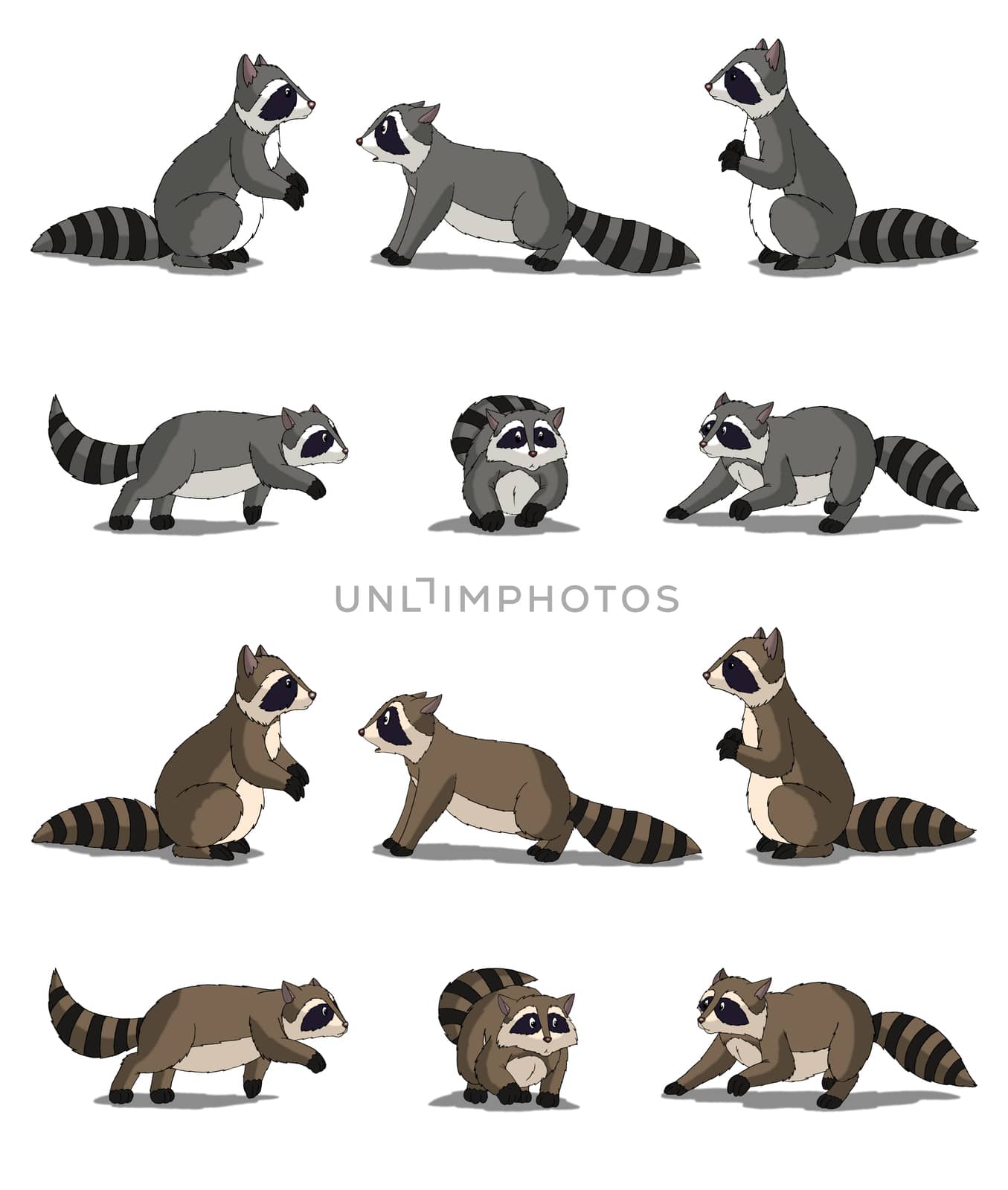 Set of Raccoon images. Digital painting  full color cartoon style illustration isolated on white background.