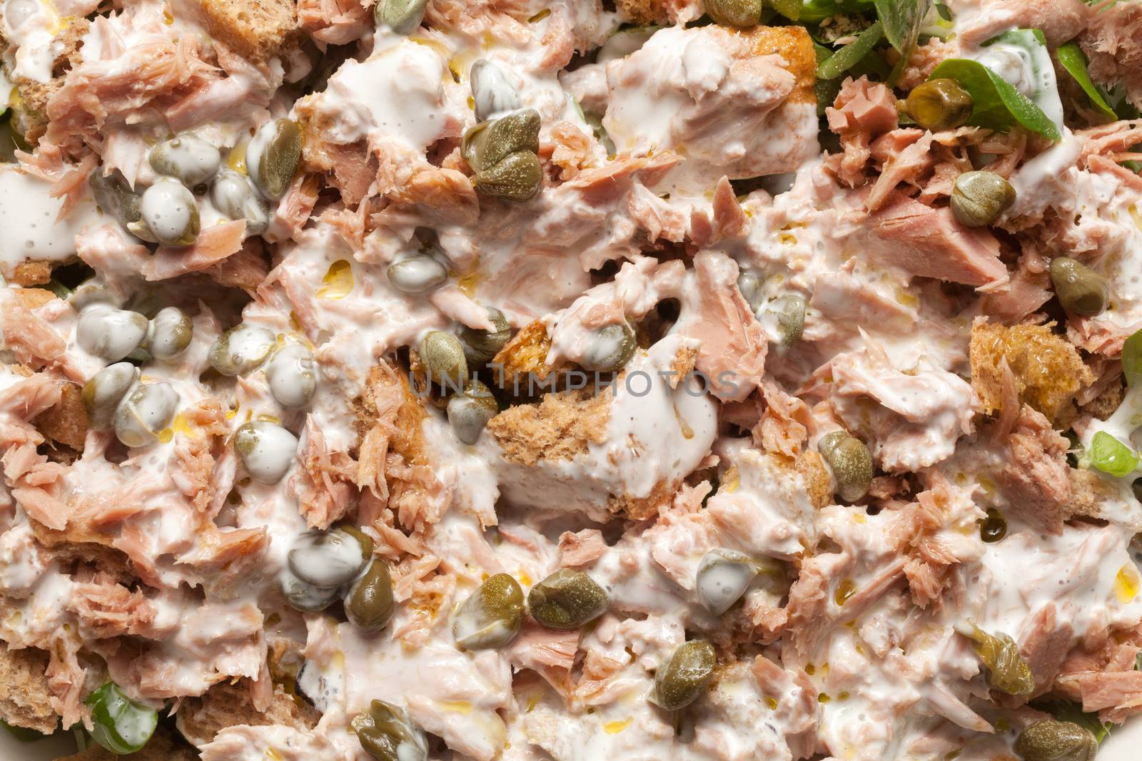 Tuna salad with caper, mayonnaise and spinach
