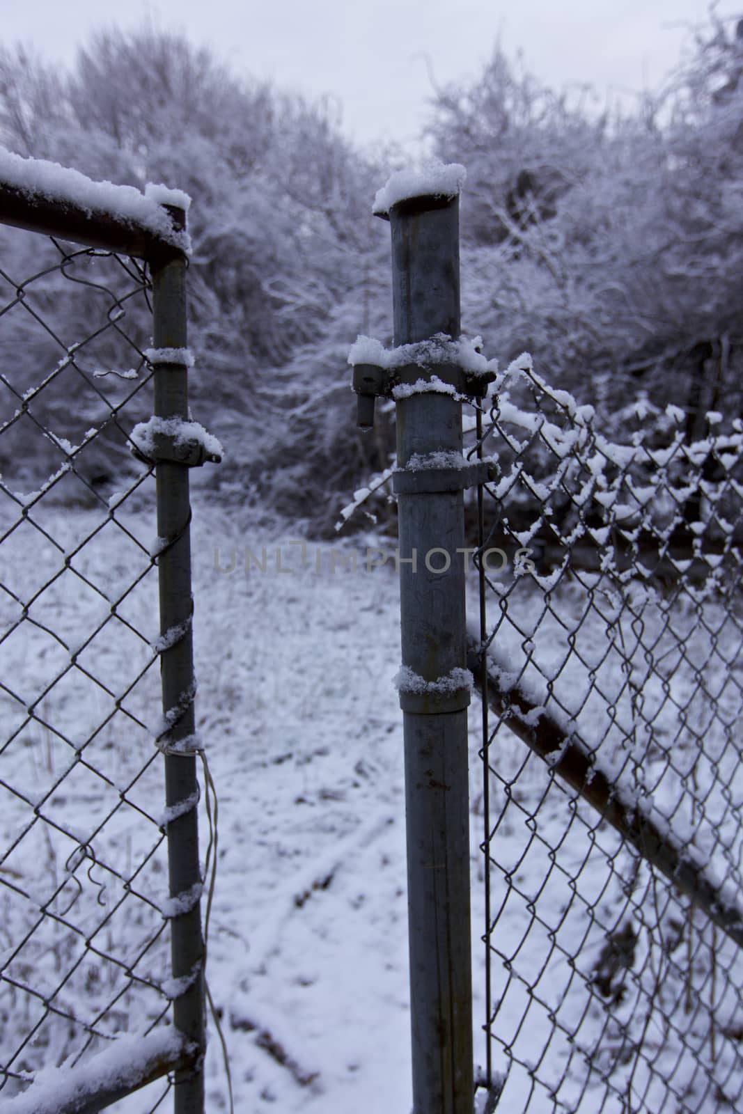 Open gate, Winter by instinia