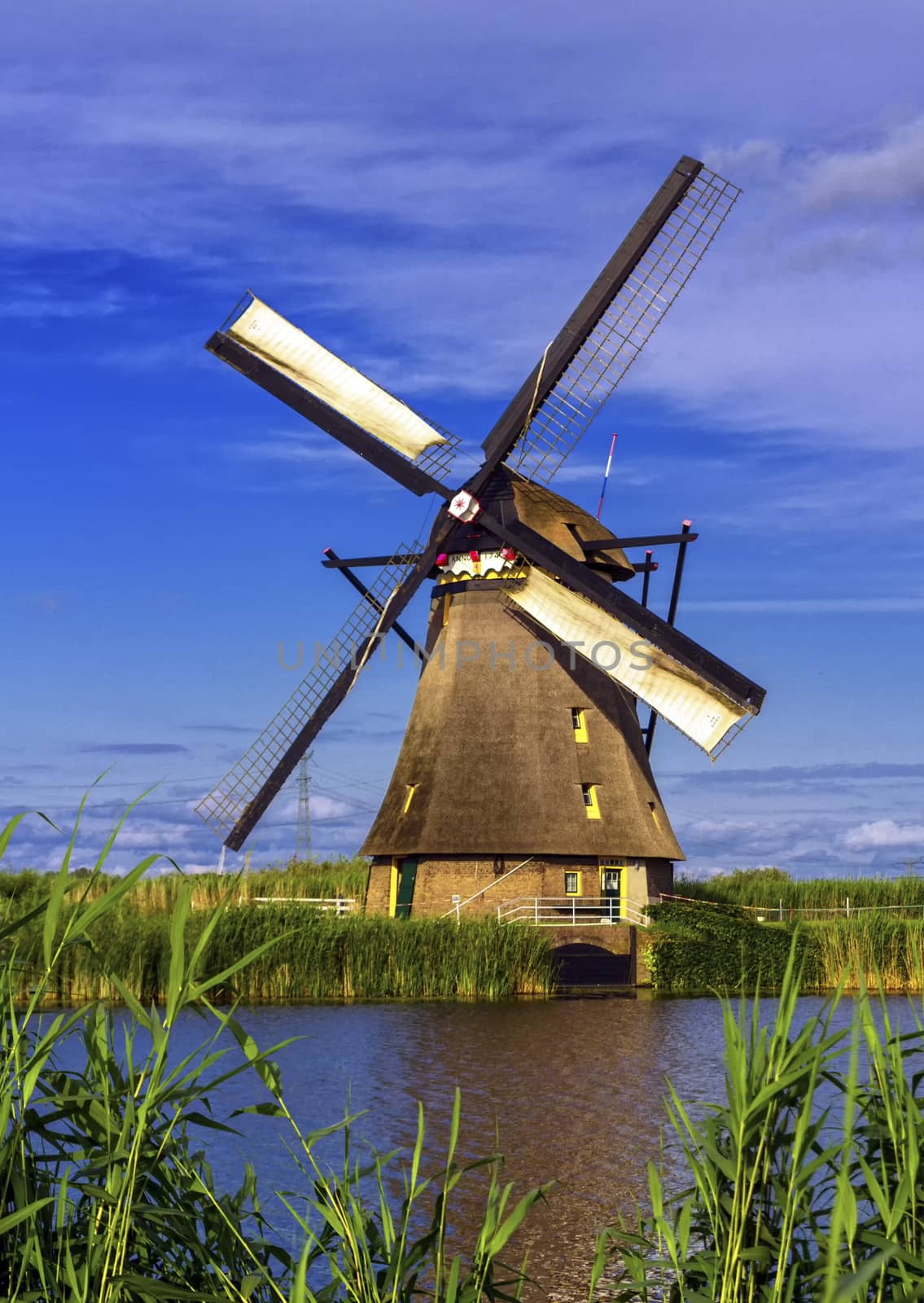 Windmill in Kinderdijk, Holland, Netherlands by Elenaphotos21