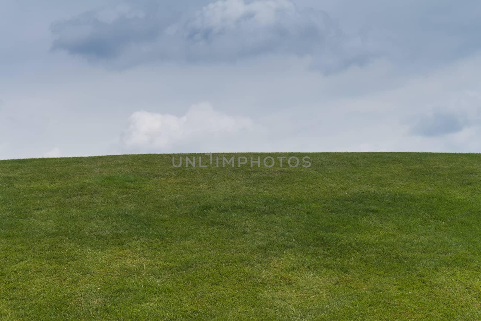 Green grass on the hill and cloudy sky by YassminPhoto