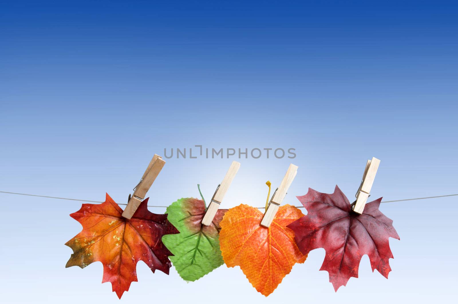 Autumn leaves hanging on a clothes line with background space 