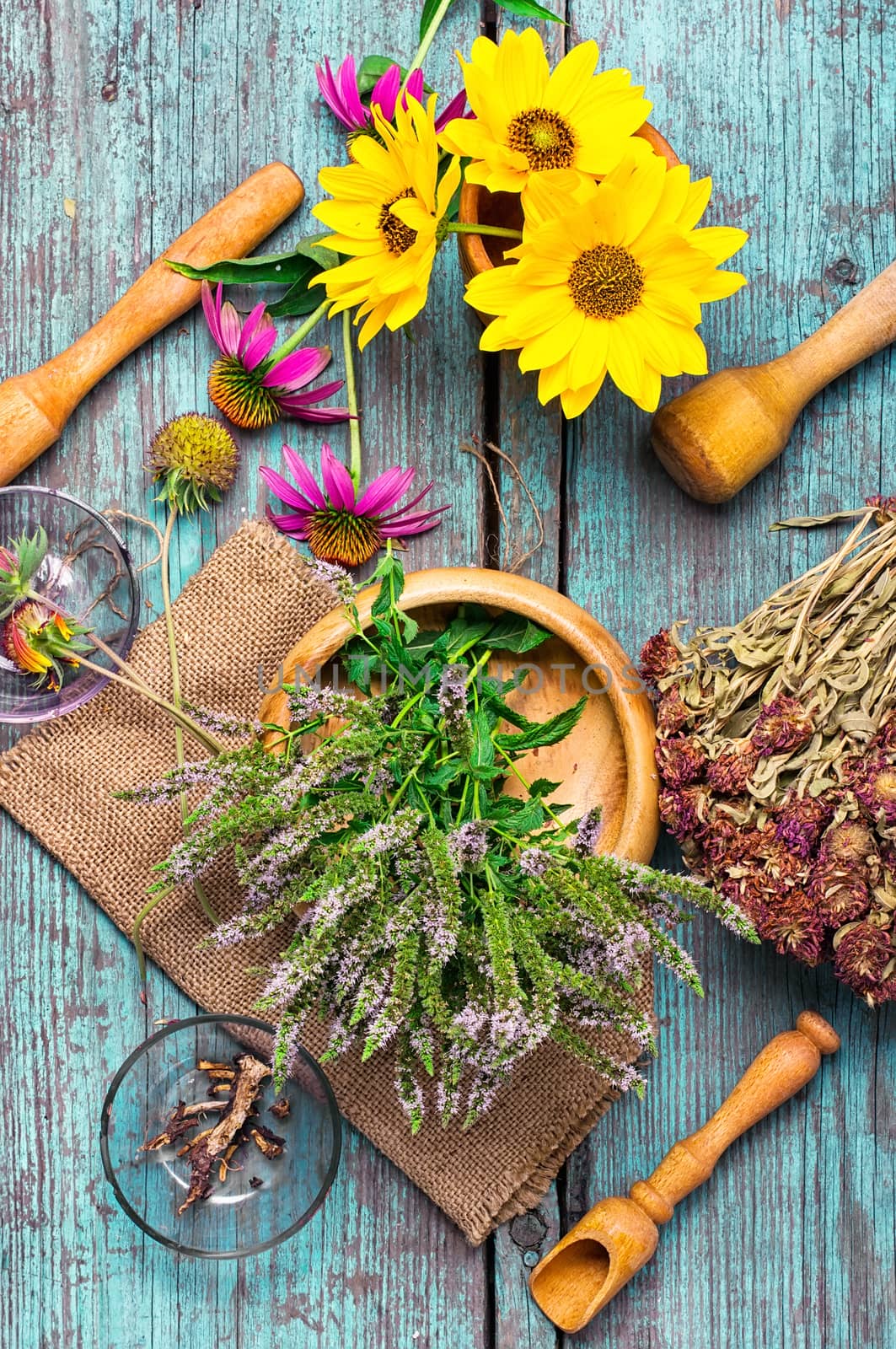 Range of medicinal grasses and useful plants from diseases