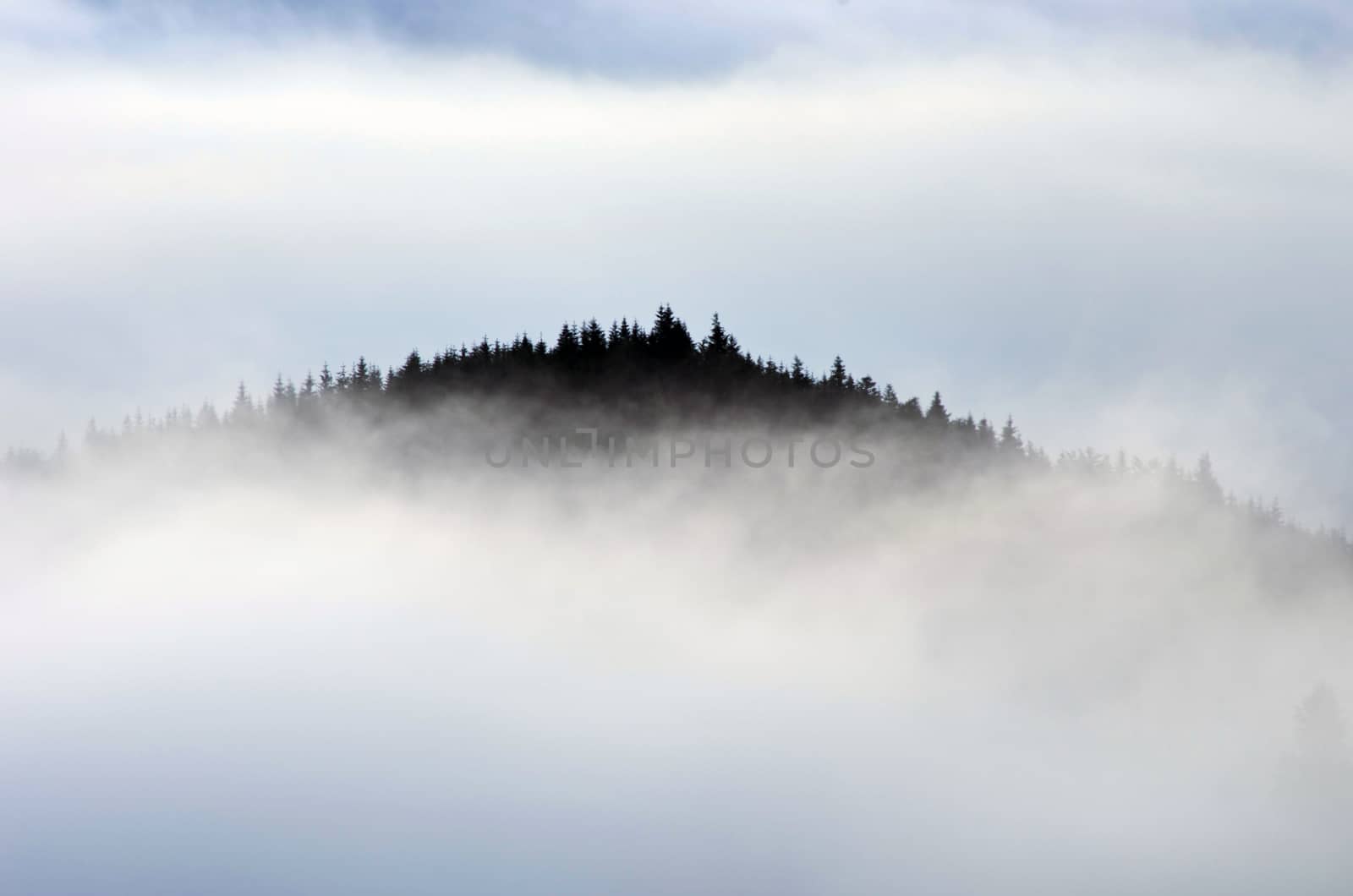 Amazing mountain landscape with dense fog. Carpathian Mountains