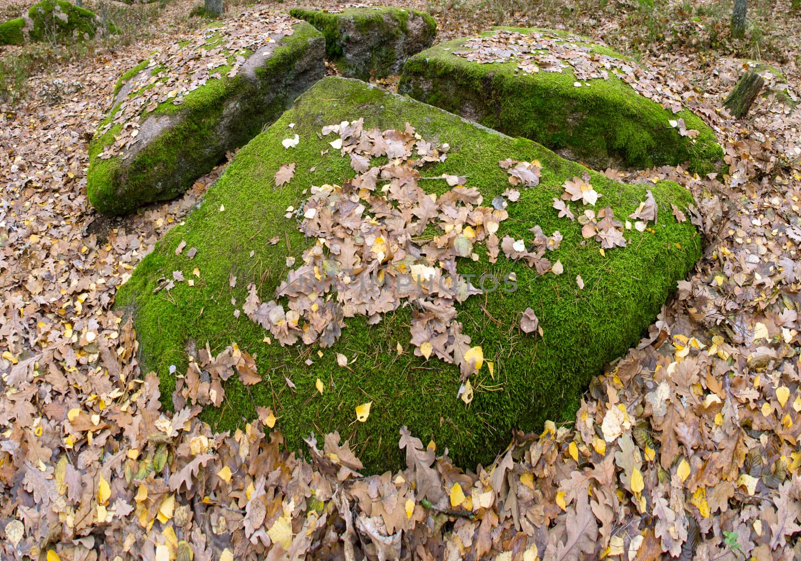 The tract stone village, Zhytomyr region village of Rudnya- Zamyslovichskaya