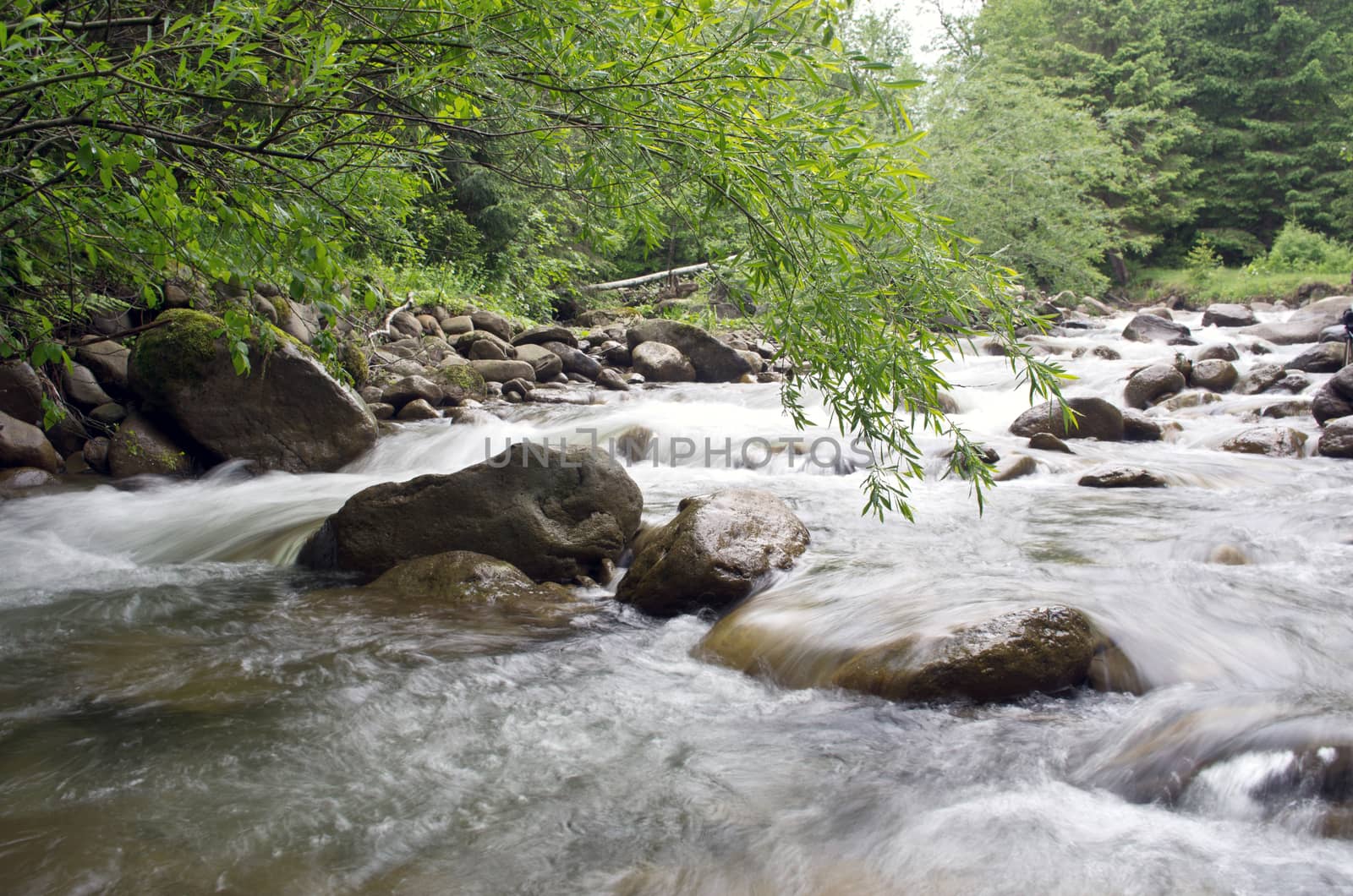Mount river in summer. Karpathien mount. by dolnikow