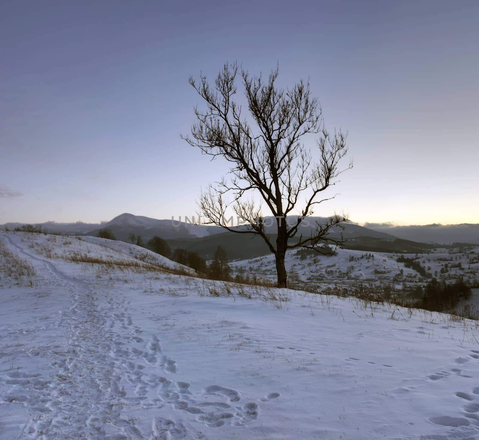 Sunrise in winter mountains . Sunrise in Carpathian Mountains, U by dolnikow