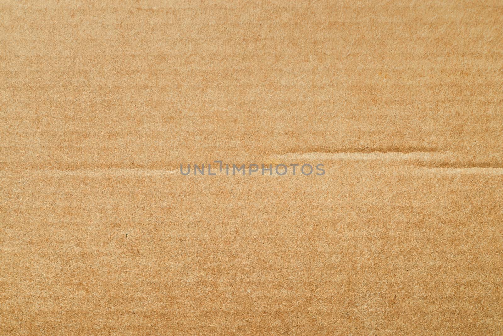 cardboard texture by antpkr