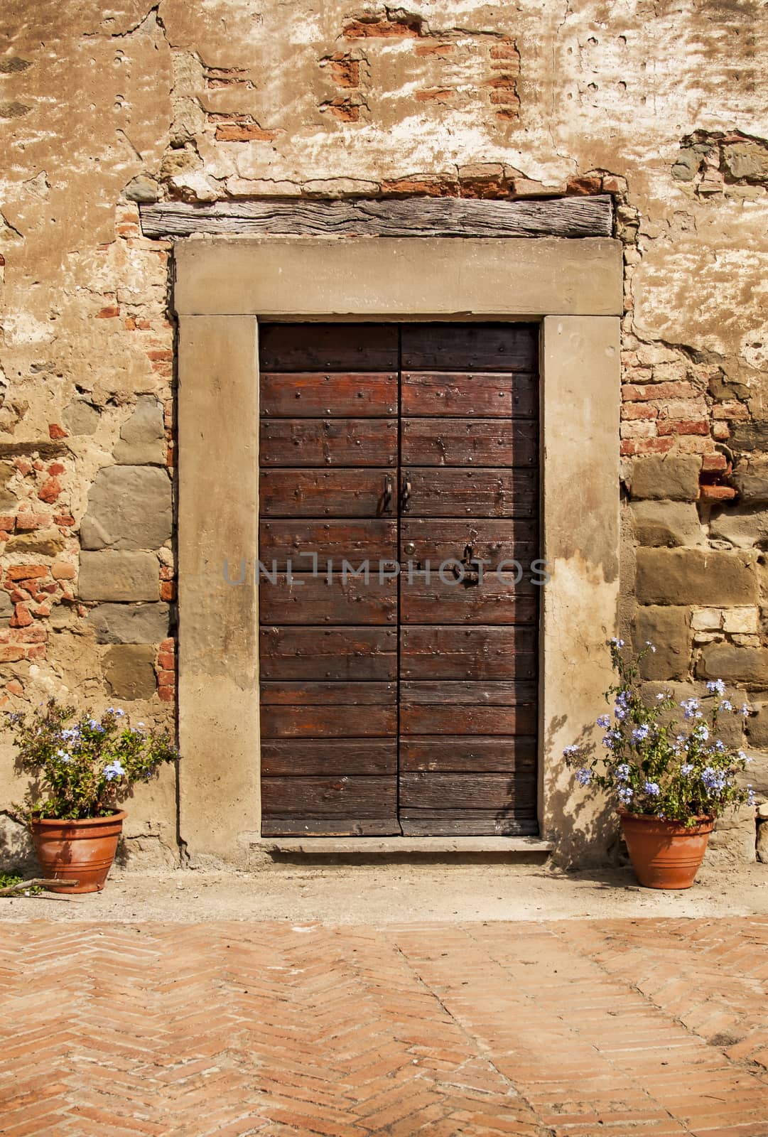 Wooden Ancient Italian Door by edella