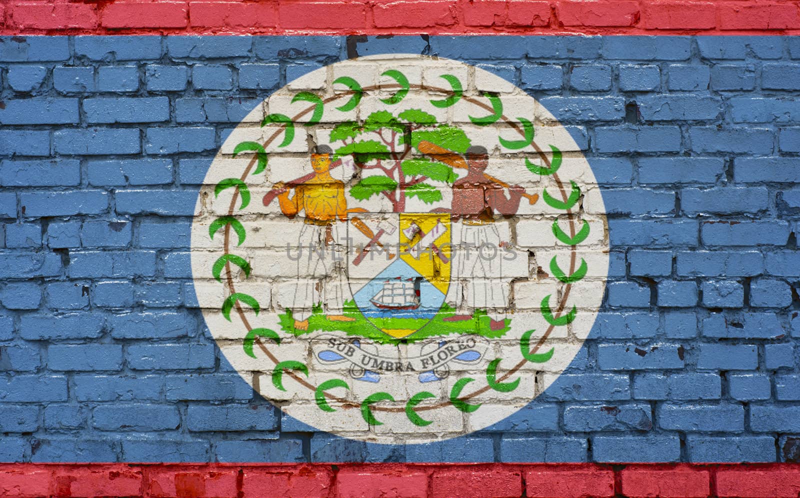 Flag of Belize painted on brick wall, background texture