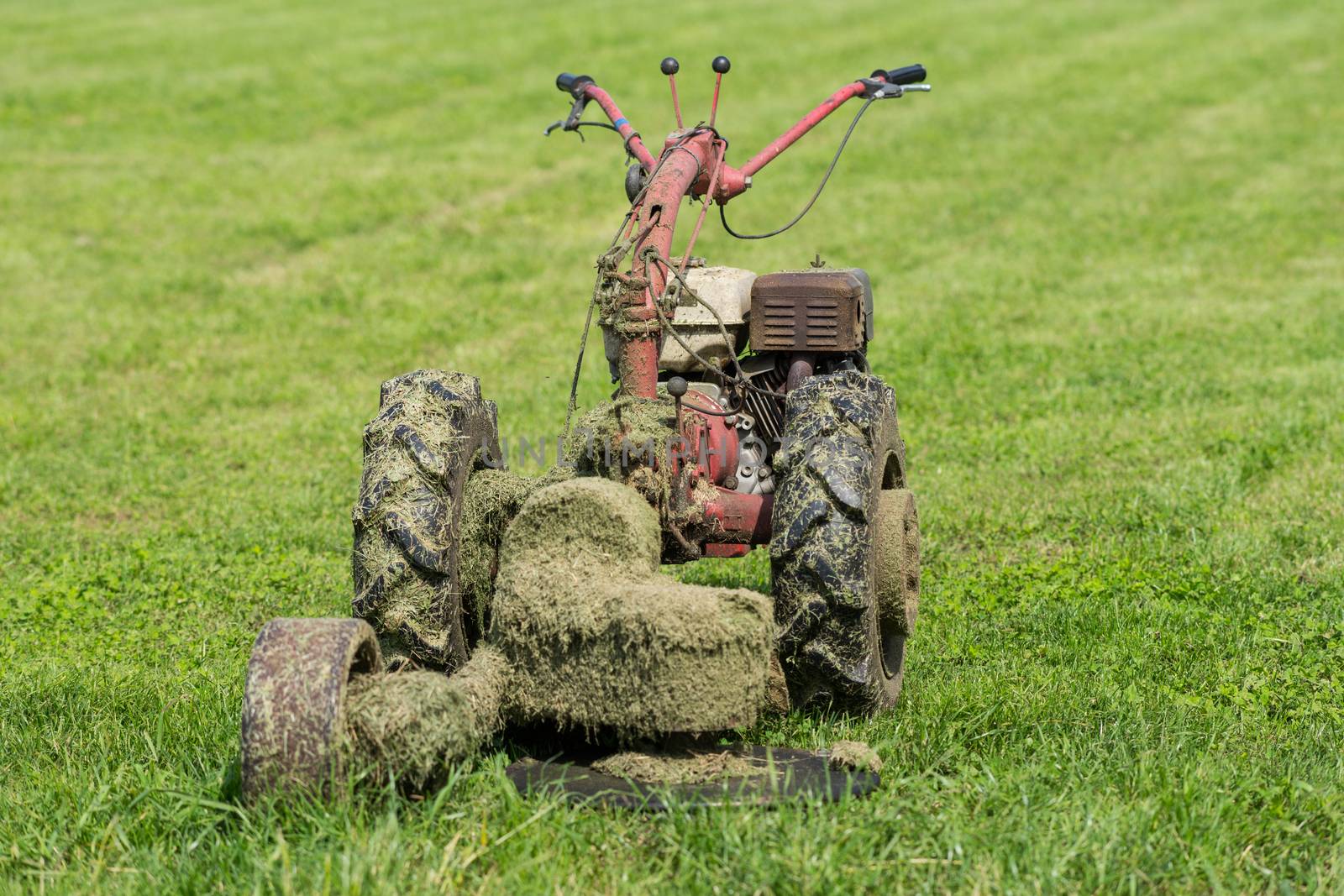 Old Lawn mower use oil in the garden by DGolbay