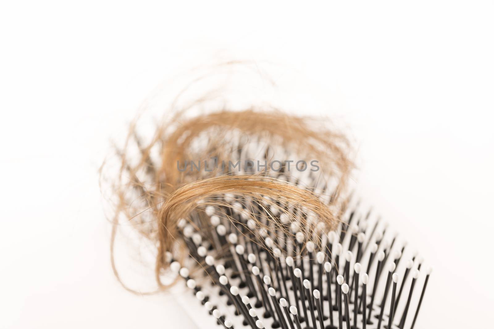 Close-up of hair loss, long hair, alopecia on white background with brush, comb nobody