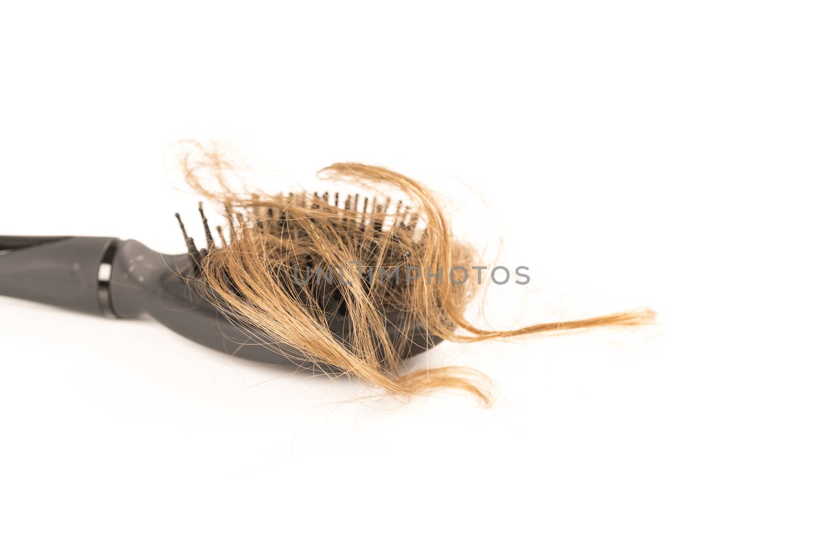 Close-up of hair loss, long hair, alopecia on white background with brush, comb nobody