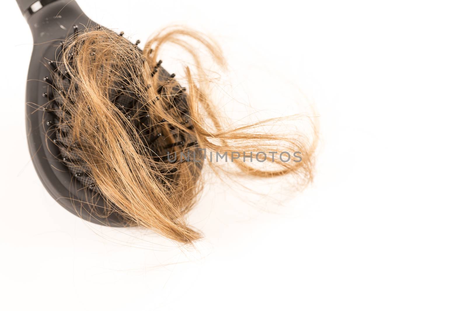 Hair Loss on white background by CatherineL-Prod