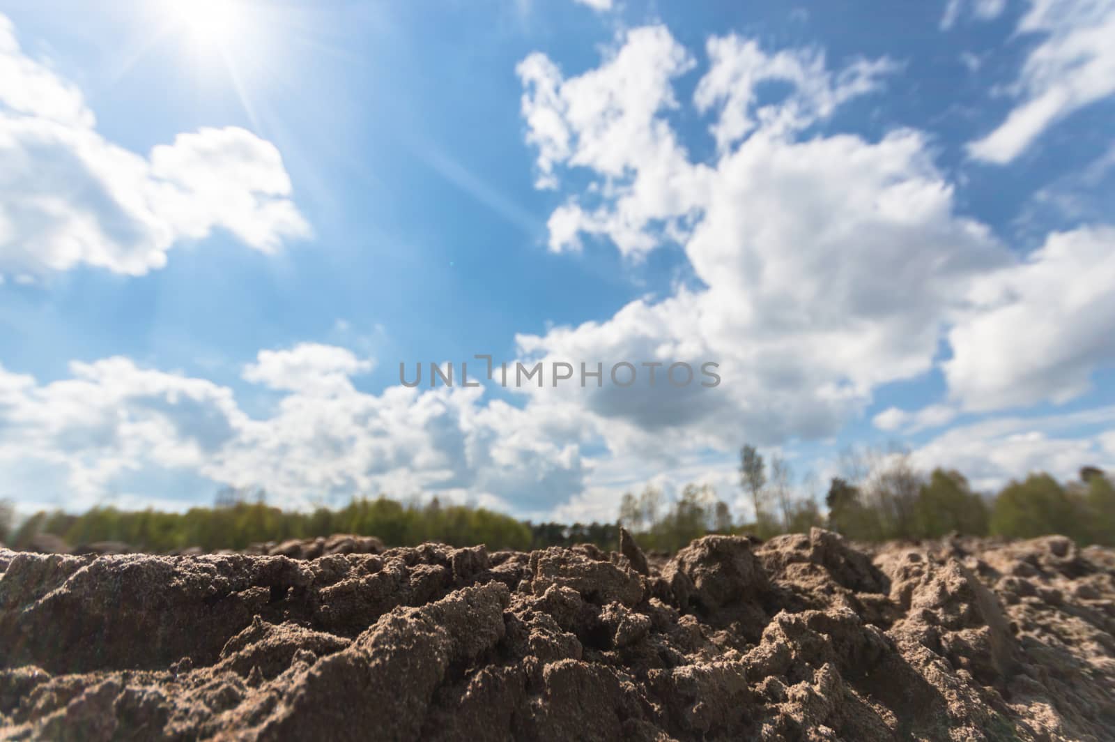 agricultural field, nature and agriculture farming series