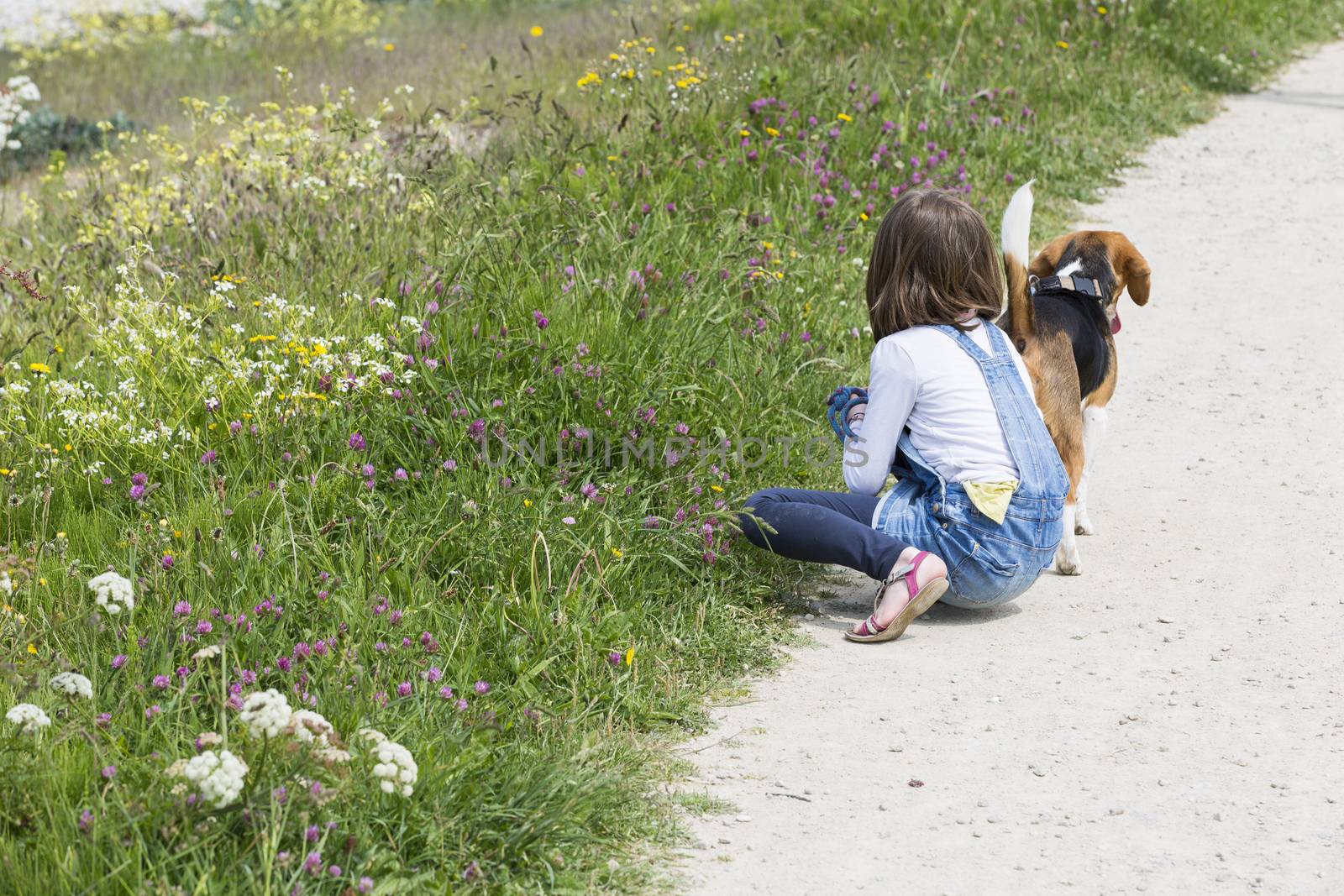 A child girl on a walk with a little dog