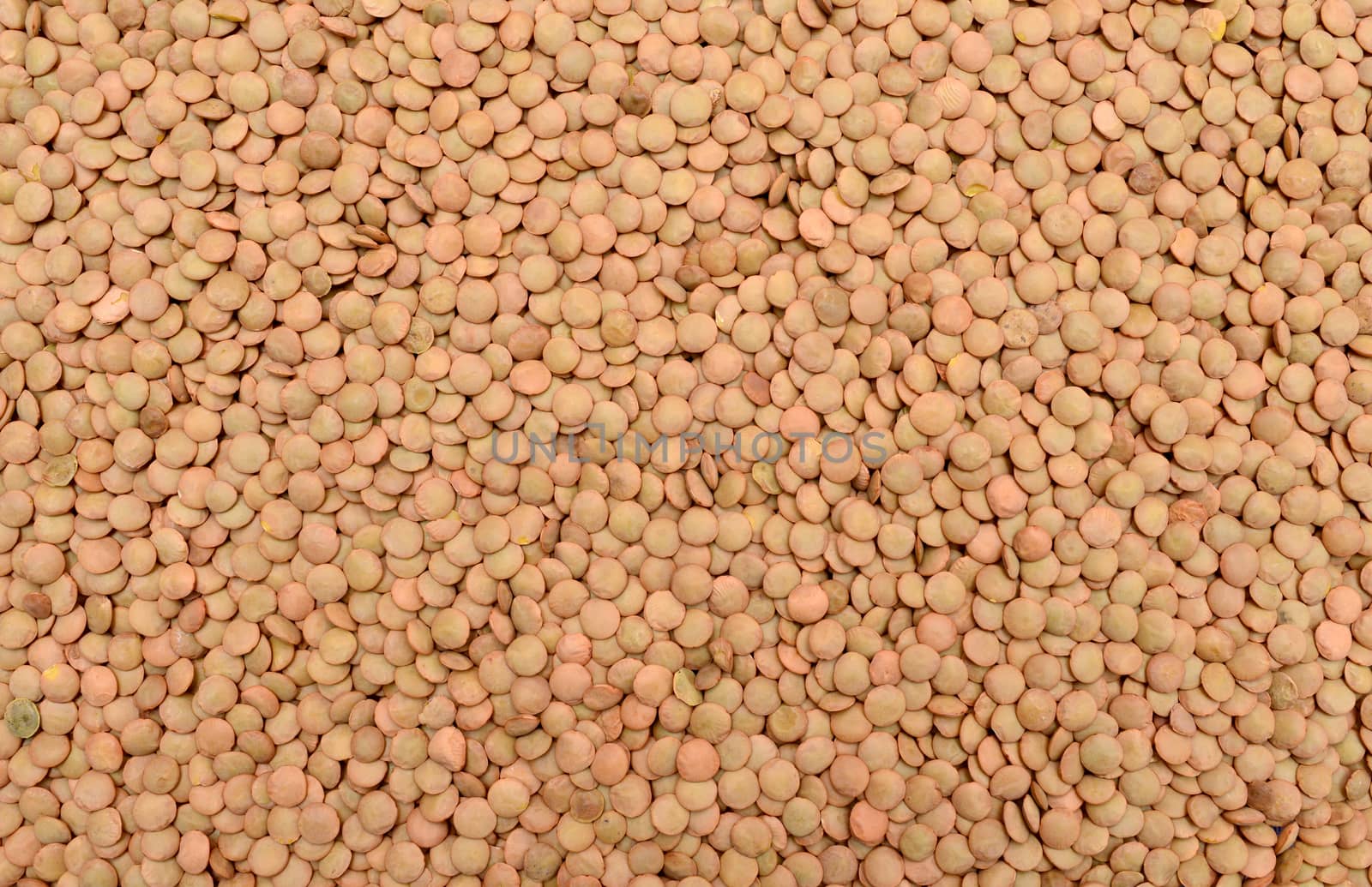 lentil seeds texture by tony4urban