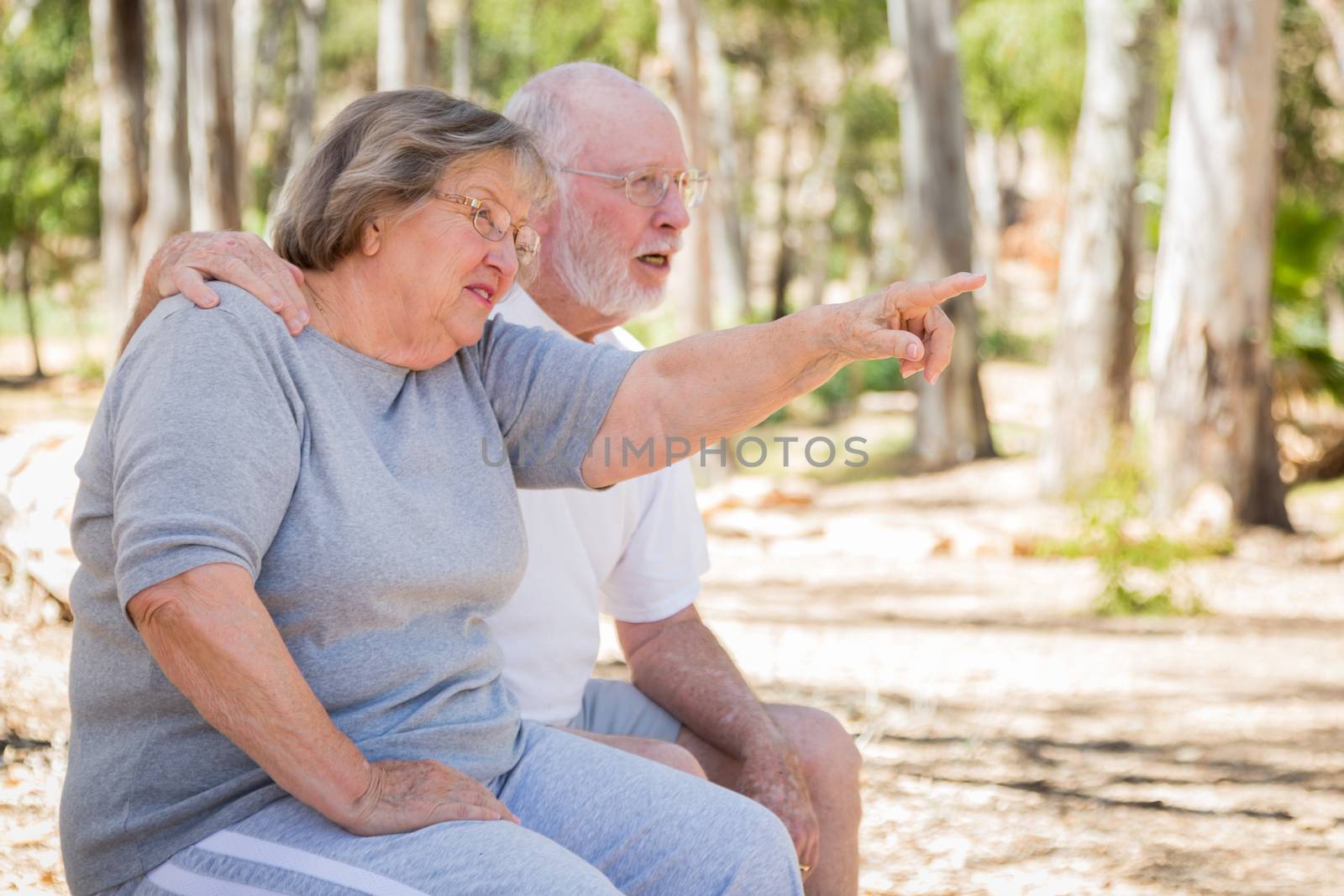 Senior Couple Enjoying The Outdoors At Park.