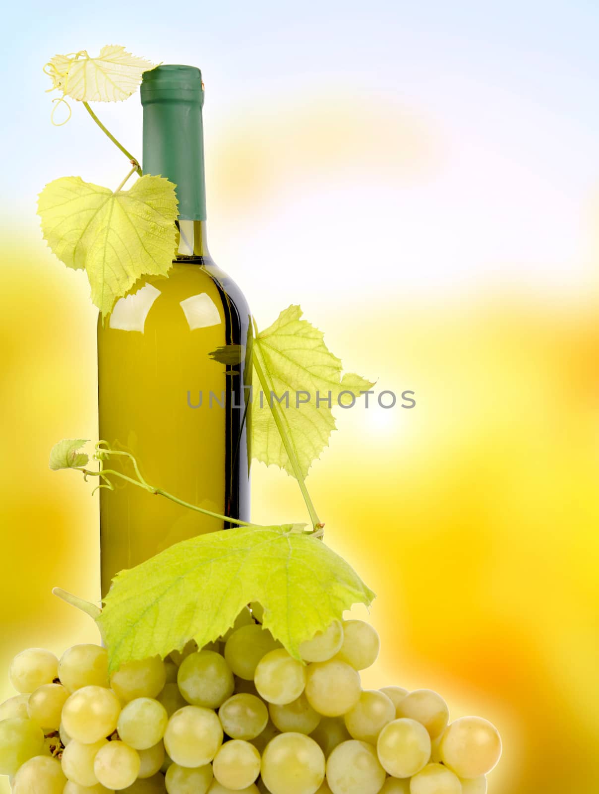 White wine bottle and grapes on background