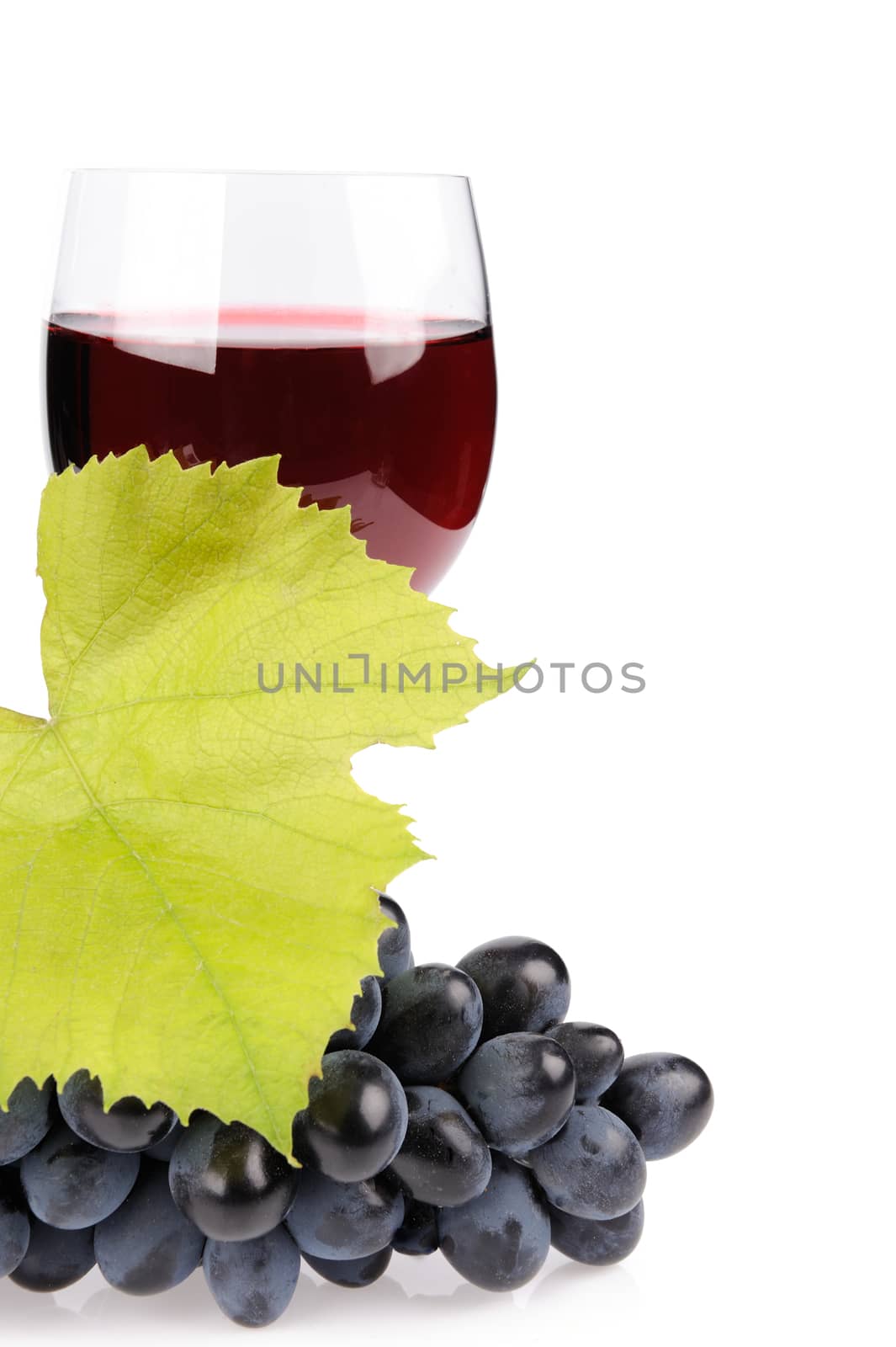 Branch of grapes and glass of wine by byrdyak