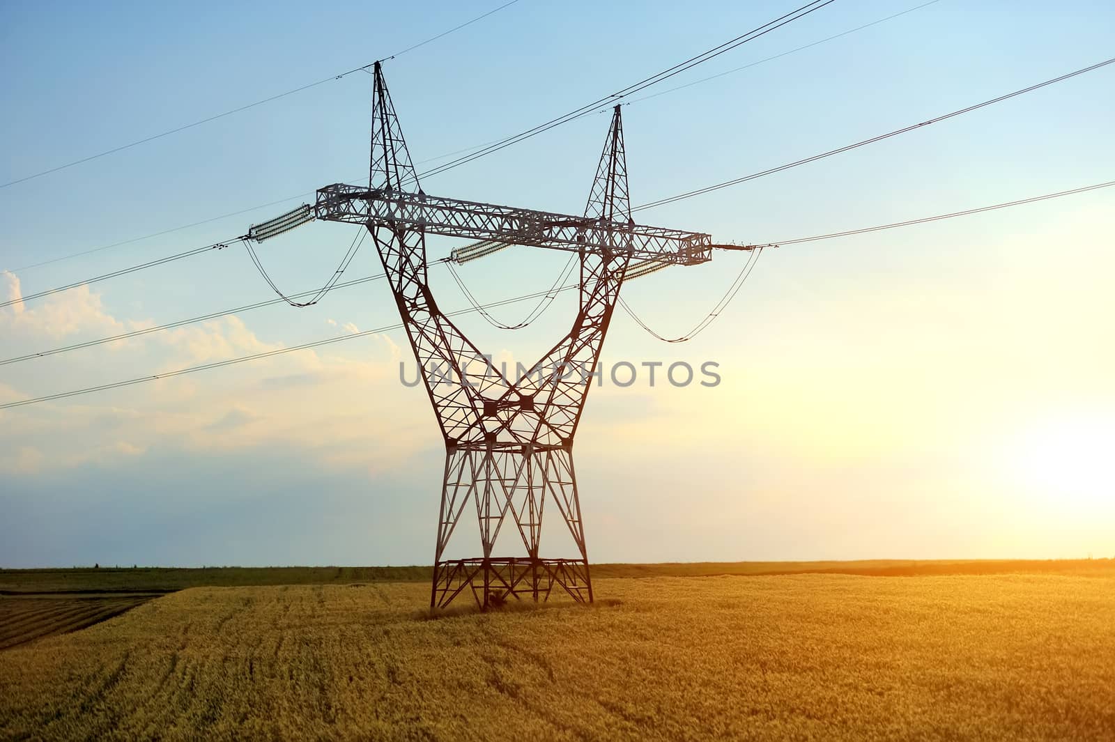 High voltage line with electricity pylons surrounded by cultivated field