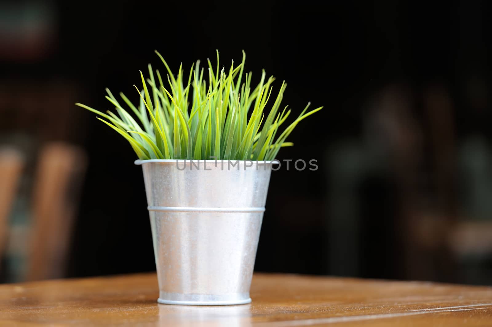 Green grass in a metal pot on a dark background 