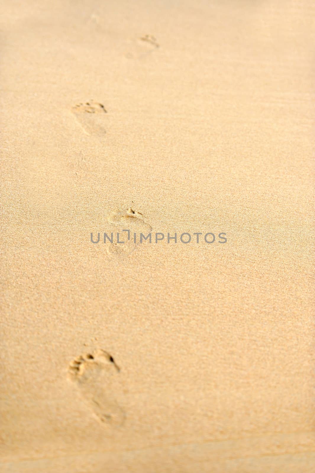 Human footprints on the beach sand leading away from the viewer