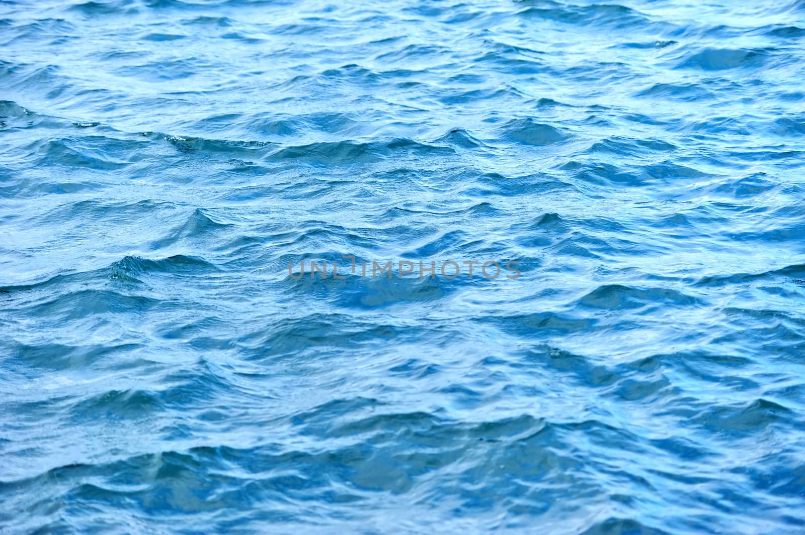 Blue sea surface with waves