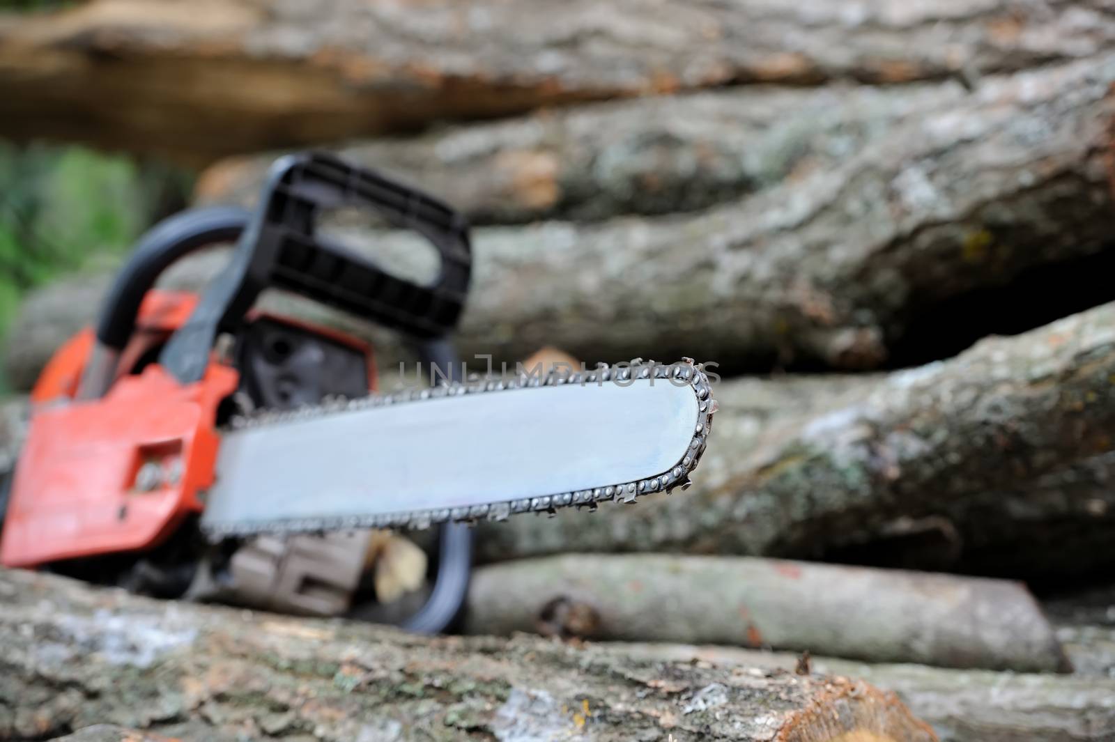 Close-up professional chainsaw blade cutting log of wood