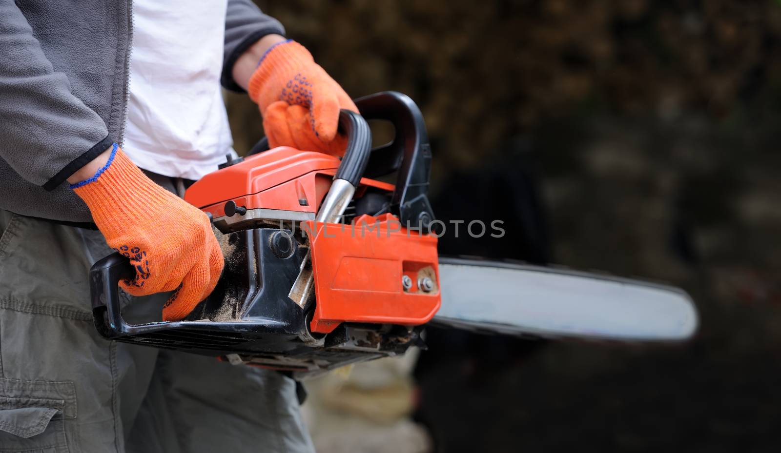 Close-up professional chainsaw blade cutting log of wood